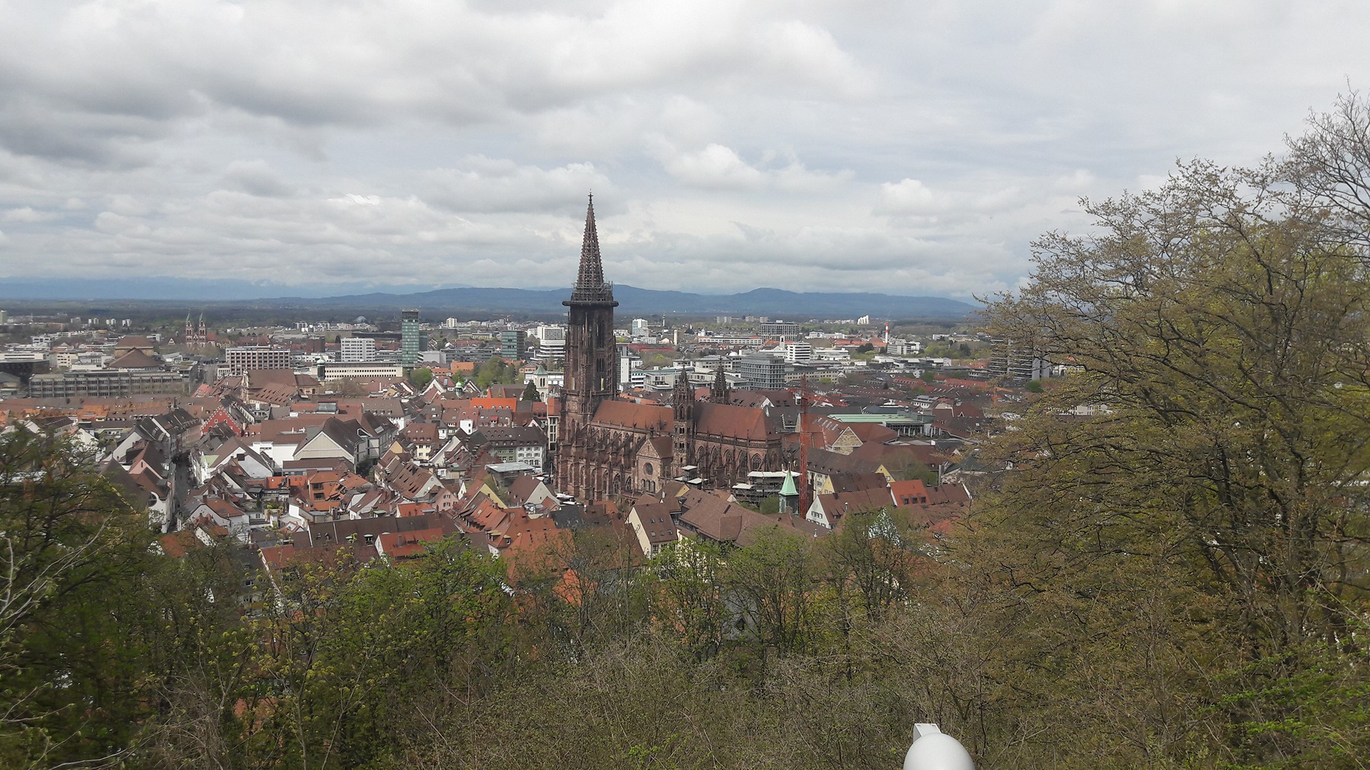 Foto van Freiburg im Breisgau