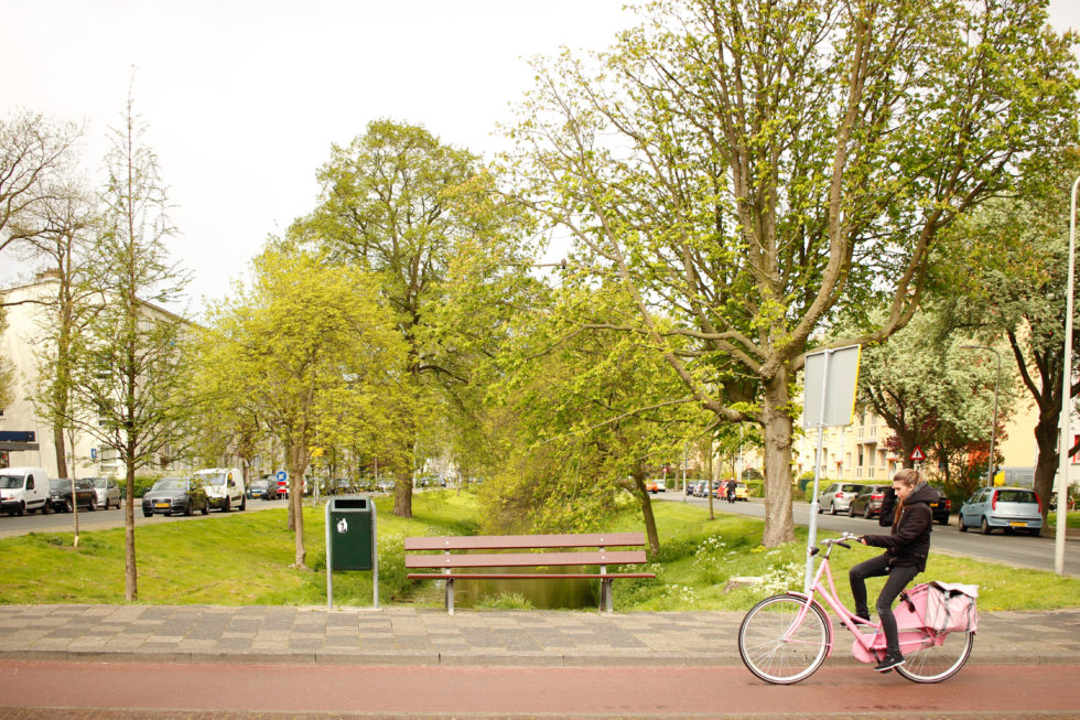 ©MUST Foto groen in Den Haag Zuidwest. Voor Vakblad Groen