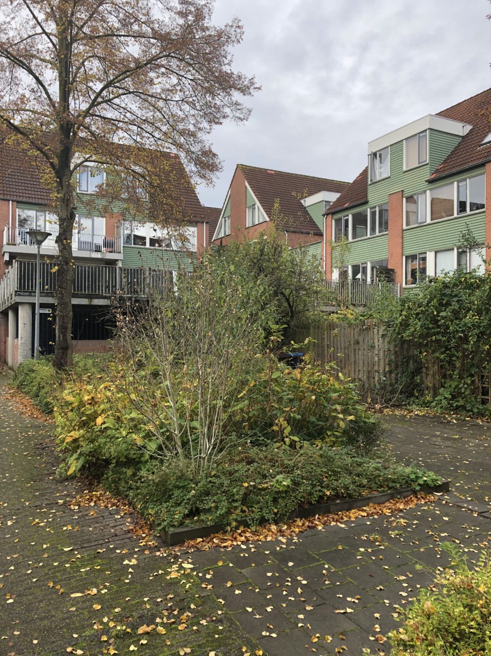 Foto van hoogbouw in de Utrechtse wijk Lunetten