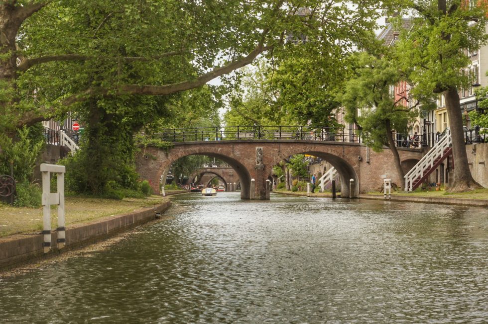 De toekomst van de stad is groen