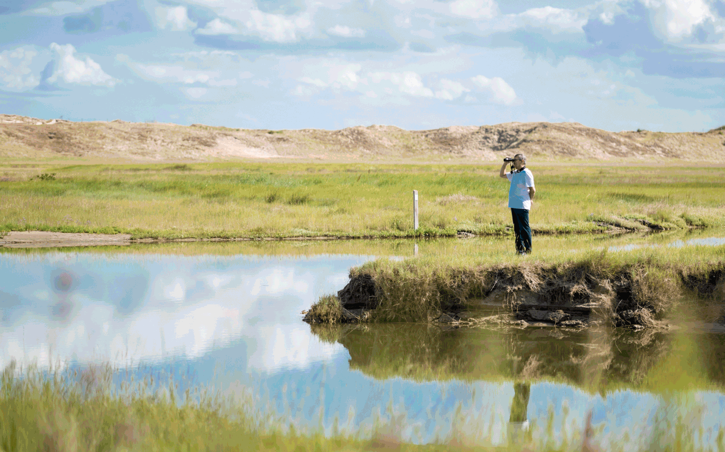Je bekijkt nu Landschapsbiografie van de Zwinstreek